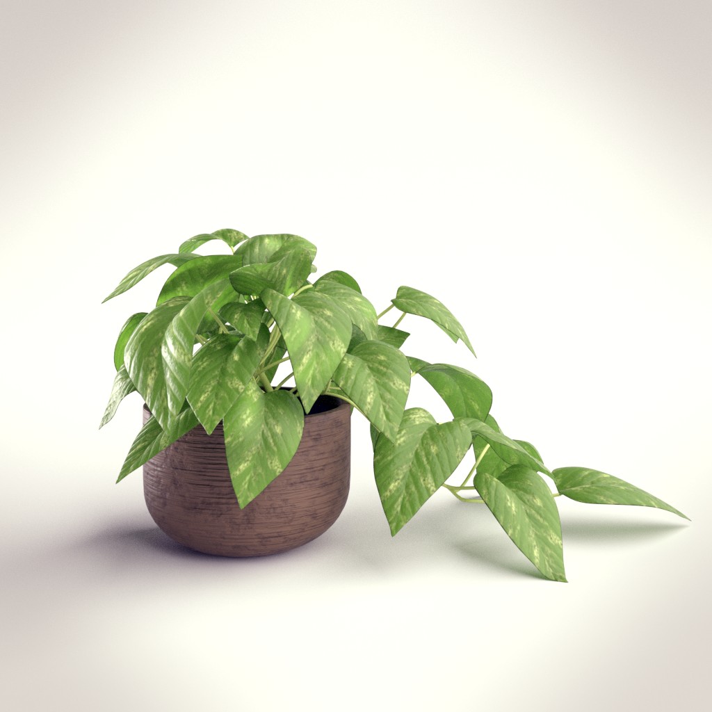Indoor Plant In A Pot preview image 1